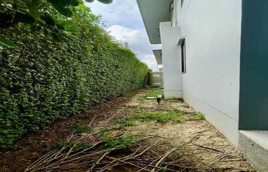 รูป ขายบ้านหรู เศรษฐสิริ พหล–วัชรพล 75 ตร.ว. หลังมุม ทิศใต้ เพียง 15 นาทีถึงสนามบินดอนเมือง - รูปที่ 12/12