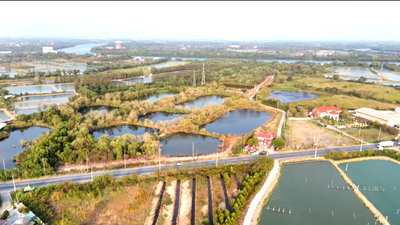 Land for sale TFD Industrial Estate : Land for Sale on Main Road – Ban Pho, Chachoengsao, 42 Rai 2 Ngan 47 sq.w., Good Location Near Industrial Estate