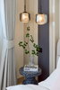 listing thumbnail image 106