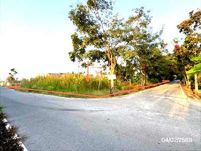 ขายที่ดิน : ที่ดินว่างเปล่า 800 ตร.วา บ้านแพ้ว สมุทรสาคร 4.8M