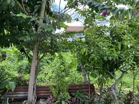 Land for sale, 99 square wah Access via Im Amporn 2 Village. This is not village land, Access is via Bang Waek Soi 32 or Ratchaphruek Road Soi 9.