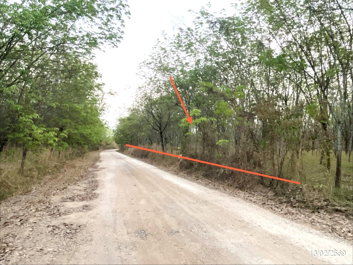 รูป ที่ดินว่างเปล่า 16300 ตร.วา ศรีบุญเรือง หนองบัวลำภู 3.2M - รูปที่ 9/15
