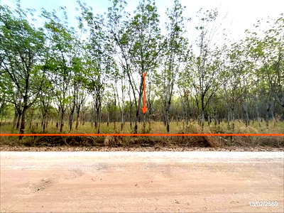 ขายที่ดิน : ที่ดินว่างเปล่า 16300 ตร.วา ศรีบุญเรือง หนองบัวลำภู 3.2M