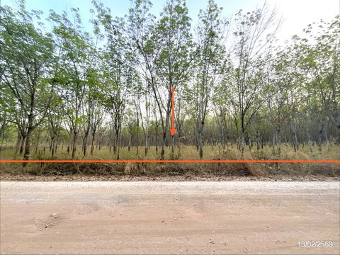 ที่ดินว่างเปล่า 16300 ตร.วา ศรีบุญเรือง หนองบัวลำภู 3.2M
