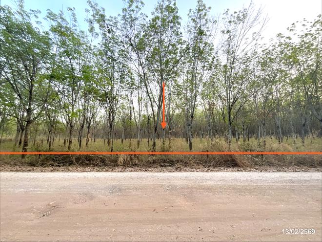รูป ที่ดินว่างเปล่า 16300 ตร.วา ศรีบุญเรือง หนองบัวลำภู 3.2M - รูปที่ 1/15