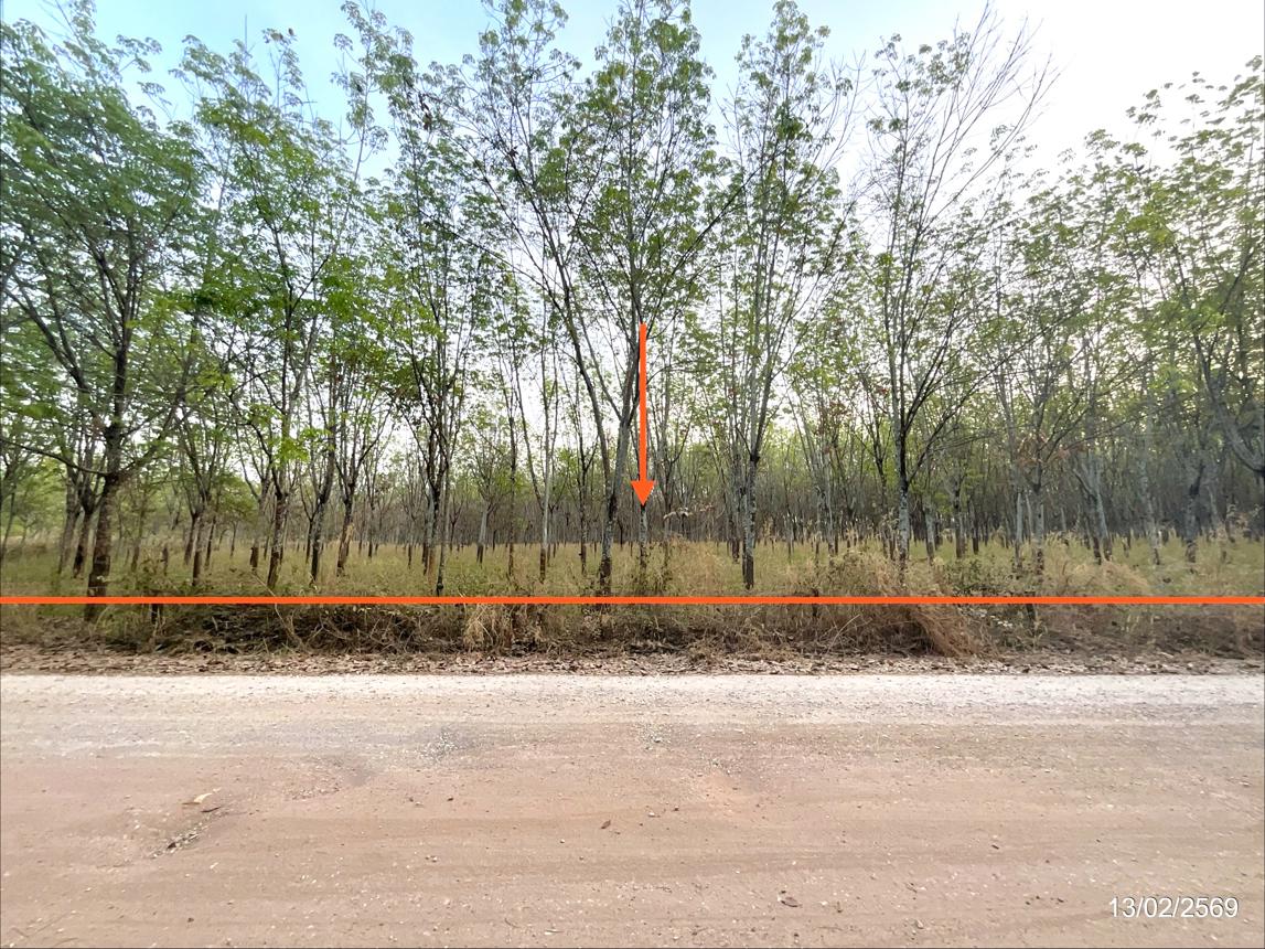 รูป ที่ดินว่างเปล่า 16300 ตร.วา ศรีบุญเรือง หนองบัวลำภู 3.2M - รูปที่ 7/15