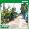 listing thumbnail image 12