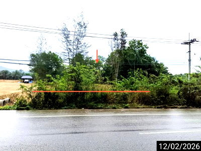 ขายที่ดิน : ที่ดินว่างเปล่า 1479 ตร.วา สวี ชุมพร 4.3M