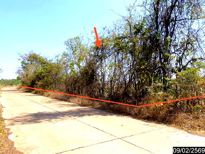 ขายที่ดิน : ที่ดินว่างเปล่า 4030 ตร.วา เมืองอุดรธานี อุดรธานี 4.8M