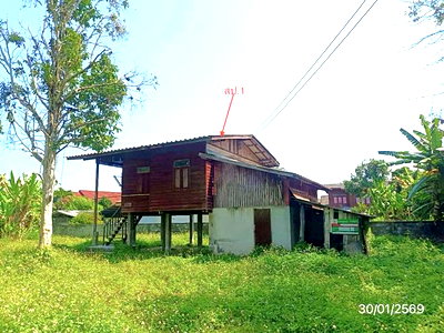 บ้านเดี่ยว พาน เชียงราย : บ้านเดี่ยว 559 ตร.วา พาน เชียงราย 2.3M