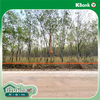 listing thumbnail image 12