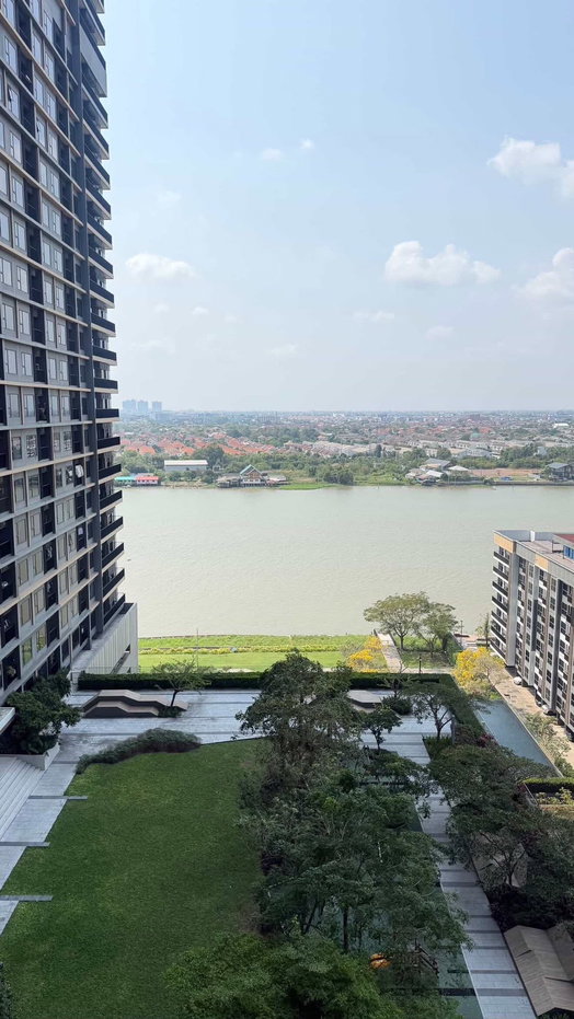 picture The Politan                     Rive  - 15/17