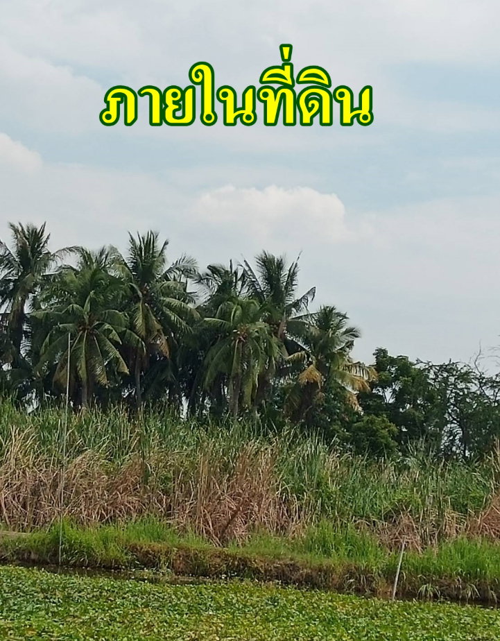 รูป ขายที่ดินติดคลองธรรมชาติ 4 ไร่ 2 งาน 76 ตรว.   ใกล้สถานีรถไฟฟ้าสายสีม่วงตอนใต้ , ใกล้ทางด่วนกาญจนาภิเษก ประชาอุทิศ 76 เขตทุ่งครุ กรุงเทพฯ - รูปที่ 3/5