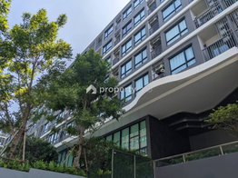 Project The Origin Sukhumvit 105 Picture - 2/19