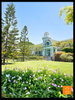 listing thumbnail image 46