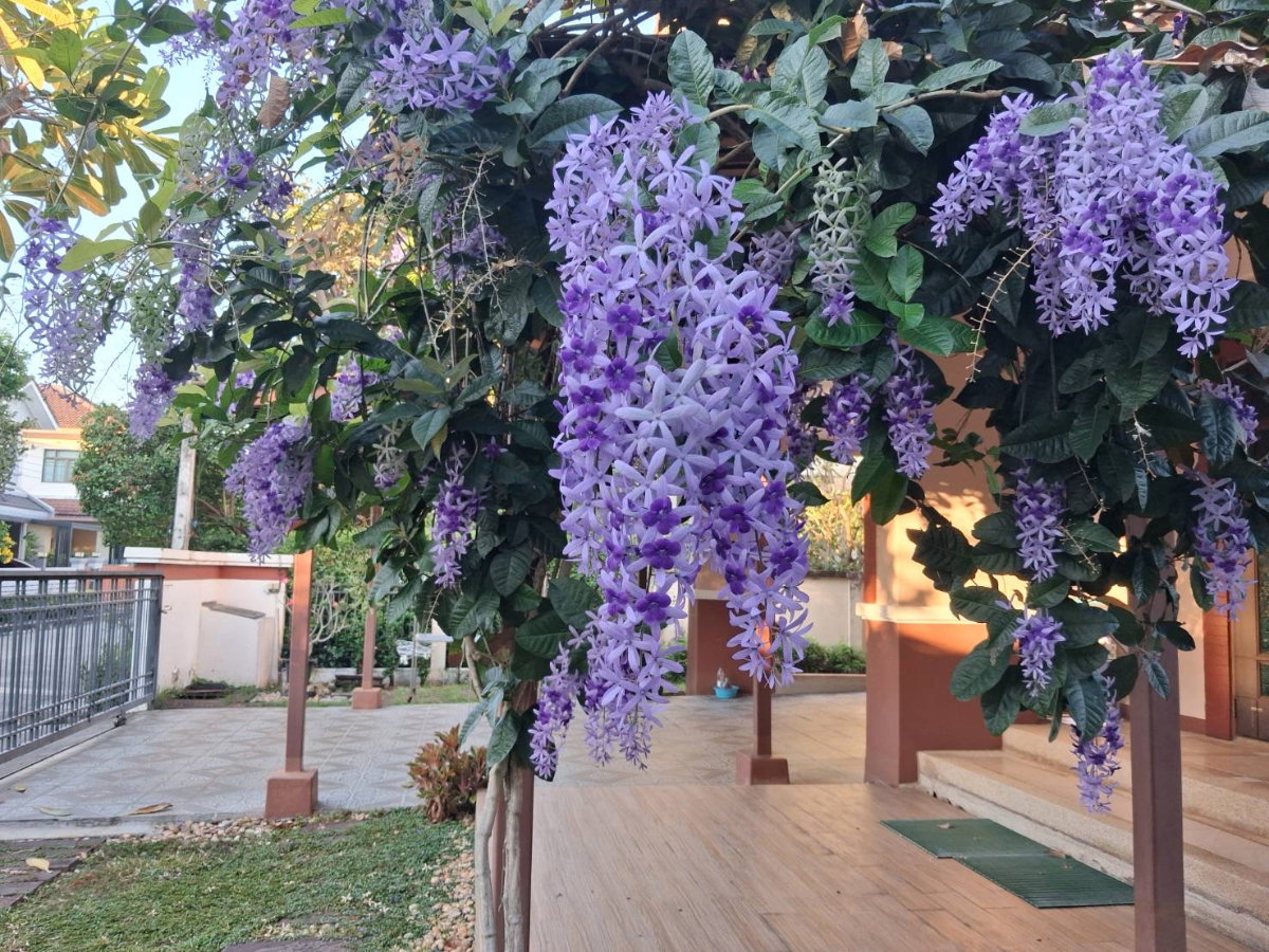 รูป บ้านเดี่ยว เศรษฐสิริ ถนนใหญ่เสรีไทย โทร 099 405 5324 - รูปที่ 4/16