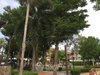 listing thumbnail image 19