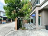 listing thumbnail image 19