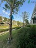 listing thumbnail image 14