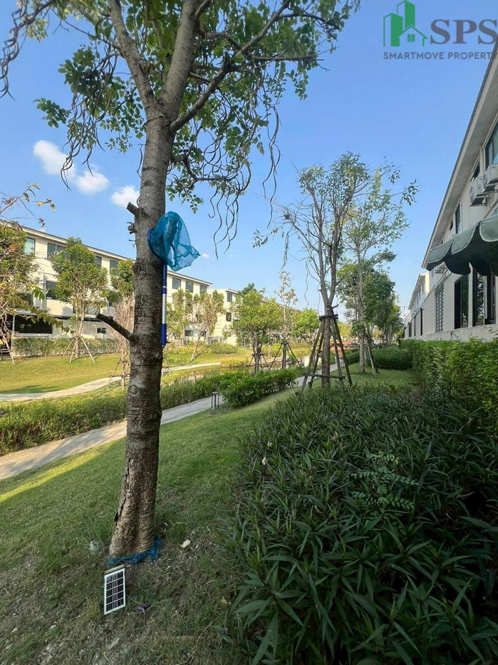 รูป ทาวน์โฮม ให้เช่า Altitude Kraf Bangna (SPSJP210) - รูปที่ 15/15