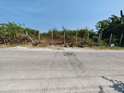 ให้ เช่า ที่ดิน 5-2-42.9 ไร่ บางไผ่ ซ.7 นนทบุรี ใกล้วัดทองนาปรัง เหมาะทำโกดัง คลังสินค้า