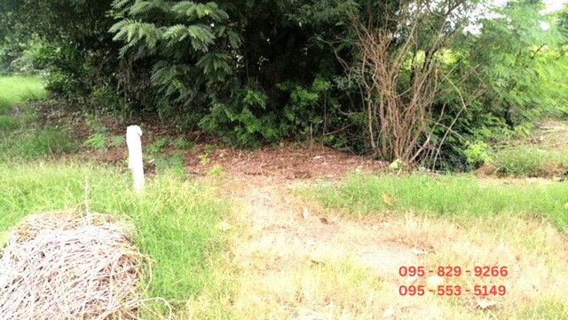 รูป ขายที่ดิน 19-3-80 ไร่ หน้ากว้าง 1,284 เมตร ติดถนนเลียบคลองสี่ (ฝั่งตะวันออก)ใกล้วงแหวนกาญจนภิเษก คลองหลวง ปทุมธานี - รูปที่ 7/8