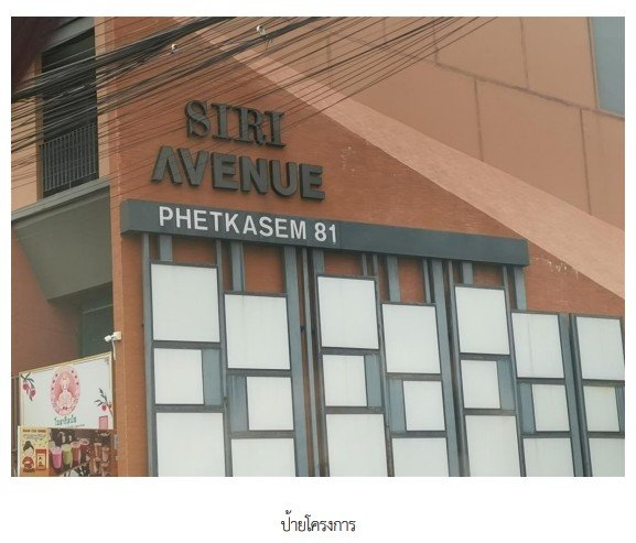 รูป อาคารพาณิชย์ 22 ตร.วา โครงการ สิริอเวนิว เพชรเกษม 81 กรุงเทพ หนองแขม กรุงเทพมหานคร 5.7M - รูปที่ 4/9