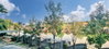 listing thumbnail image 12