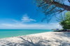 listing thumbnail image 16