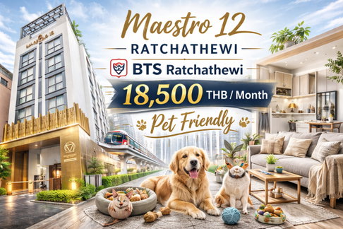 🍀🍀 🐶Pet Friendly🐱 Rare Unit❤️‍🔥 ให้เช่า📌 มาเอสโตร 12 ราชเทวี(Line: @rent2022) 🚆BTSราชเทวี พร้อมเข้าอยู่ 🔖A10900