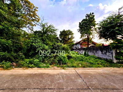 Land for sale Phitsanulok Airport : Land for Sale, Phitsanulok 378 sq.wah Near Wat Aranyik Phitsanulok