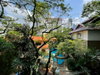 listing thumbnail image 7