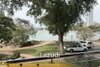 listing thumbnail image 16