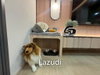 listing thumbnail image 5