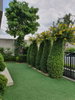 listing thumbnail image 18