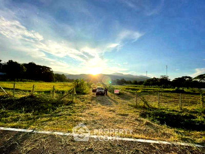 Land for sale Chiang Mai : Land For Sale In Pong Yaeng, Mae Rim Chiang Mai (ID 2719019)