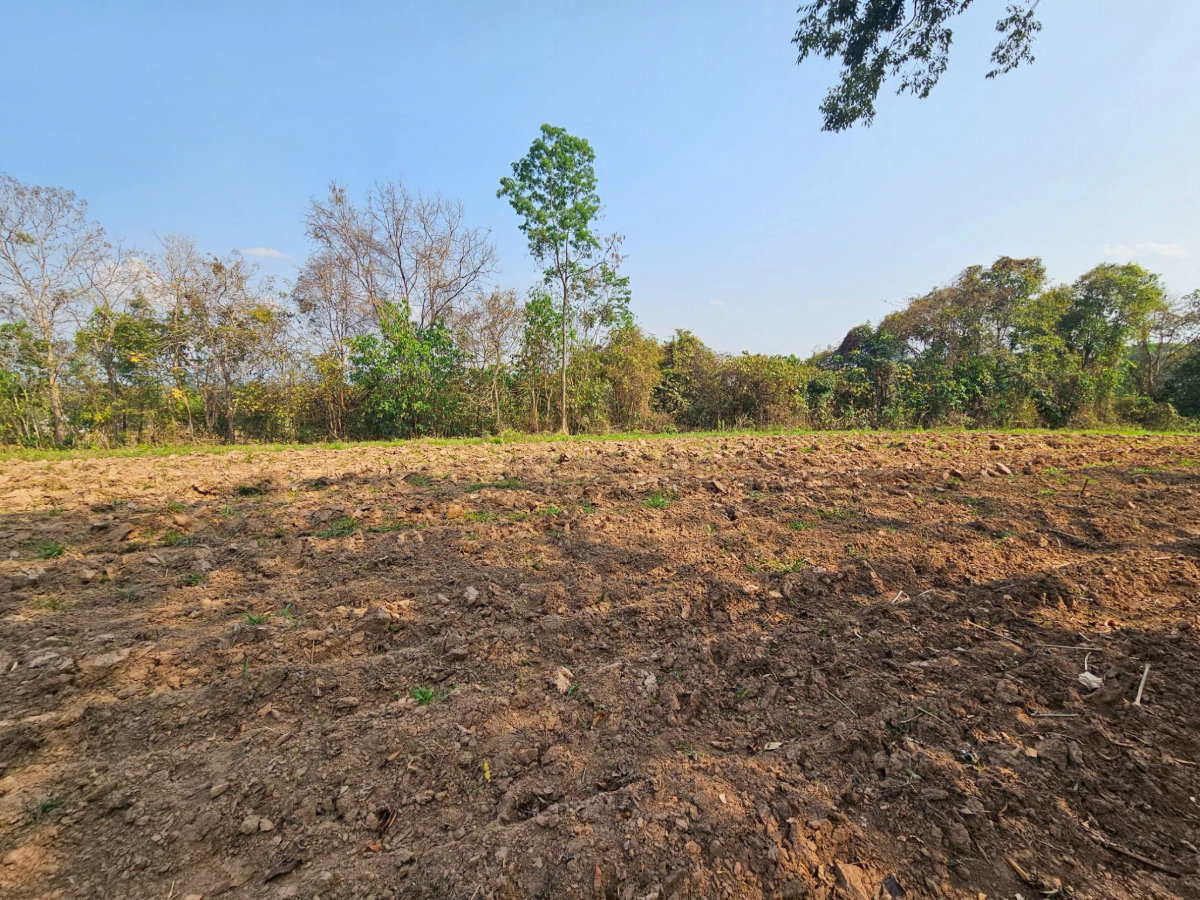 รูป ขายที่ดินติดถนนใหญ่ เชียงราย หน้ากว้าง 168 ม. วิวสวย ใกล้สิงห์ปาร์ค เนื้อที่ 19 ไร่ 1 งาน 65 ตรว - รูปที่ 11/11