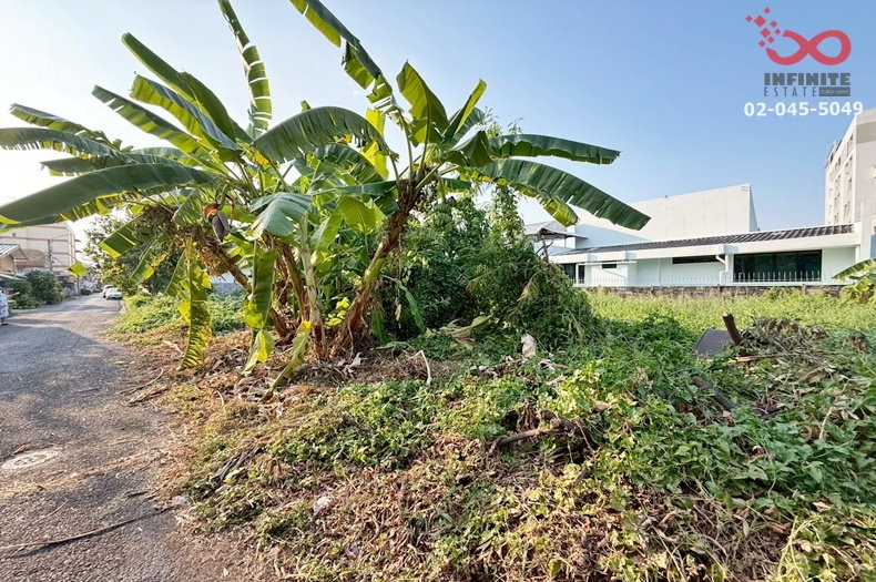 รูป ขายที่ดิน 136 ตร.ว. ลาดพร้าววังหิน 7 - โชคชัย 4 ใกล้รถไฟฟ้า  - รูปที่ 6/8
