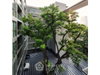 listing thumbnail image 0