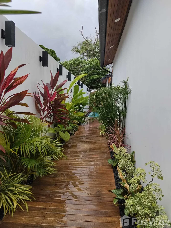 picture 3 Bedroom Villa for sale in Bo Phut, Surat Thani 6105684 - 65/72