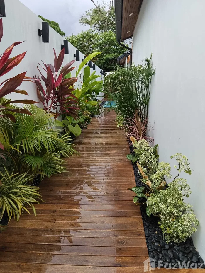 picture 3 Bedroom Villa for sale in Bo Phut, Surat Thani 6105684 - 66/72