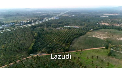 Land for sale Chonburi : Prime Investment Land for Sale 60+ Rai Next to Motorway 7