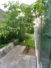 listing thumbnail image 99