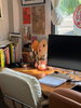 listing thumbnail image 6