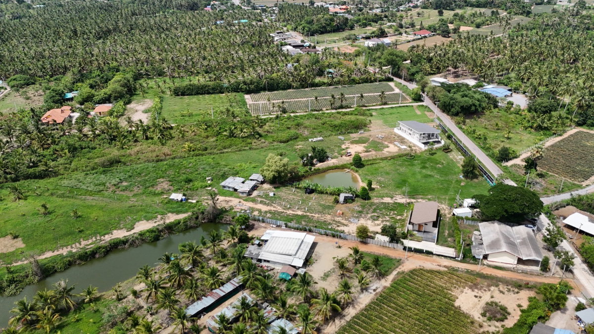 รูป ขายที่ดินปราณบุรีทำเลดี ใกล้ถนนเพชรเกษม ใกล้ทะเลปราณบุรี เหมาะพักอาศัย หรือทำธุรกิจ - รูปที่ 3/7