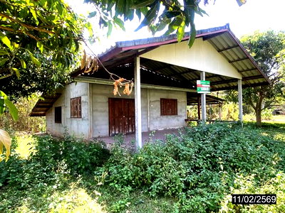 Houses for sale : HOME 95 Sq.w. Phu Kradung Loei for 655,000