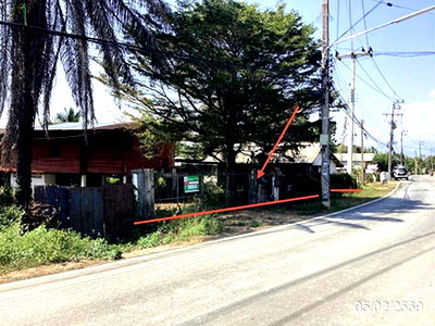 บ้านเดี่ยว เชียงราย : บ้านเดี่ยว 363 ตร.วา แม่ลาว เชียงราย 2.8M
