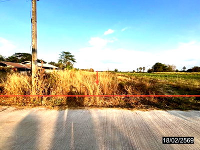 ขายที่ดิน : ที่ดินว่างเปล่า 1602 ตร.วา หนองกุงศรี กาฬสินธุ์ 1.1M