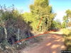 listing thumbnail image 9