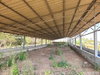listing thumbnail image 32